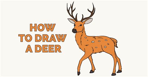 Learn how to do a deer painting in acrylics with step-by-step instructions. This is an acrylic painting on canvas. Step by step instructions with tips to pai...